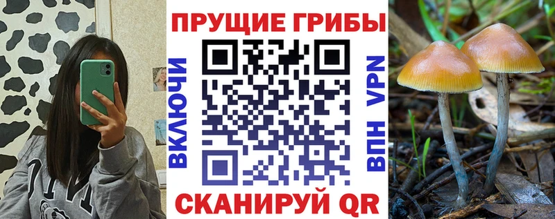 Псилоцибиновые грибы прущие грибы Мышкин