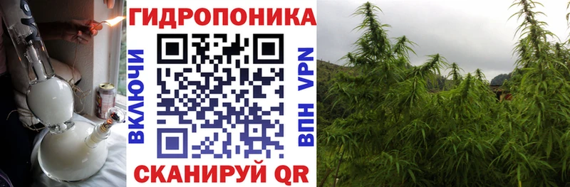 даркнет сайт  Мышкин  маркетплейс состав  Бошки Шишки индика 